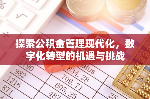 宕昌探索公积金管理现代化，数字化转型的机遇与挑战