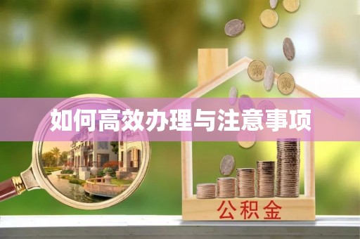 宕昌如何高效办理与注意事项