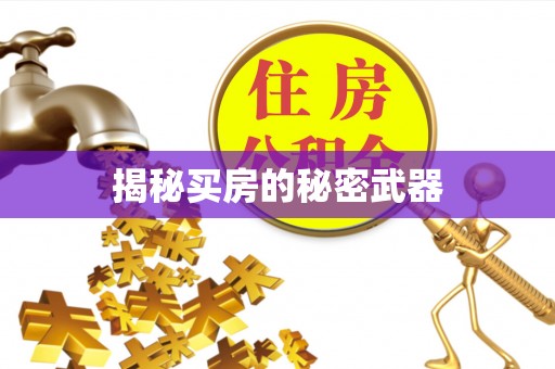 宕昌揭秘买房的秘密武器