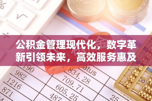 宕昌公积金管理现代化，数字革新引领未来，高效服务惠及民生