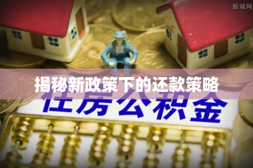宕昌揭秘新政策下的还款策略