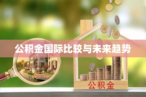 宕昌公积金国际比较与未来趋势