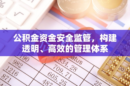 宕昌公积金资金安全监管，构建透明、高效的管理体系
