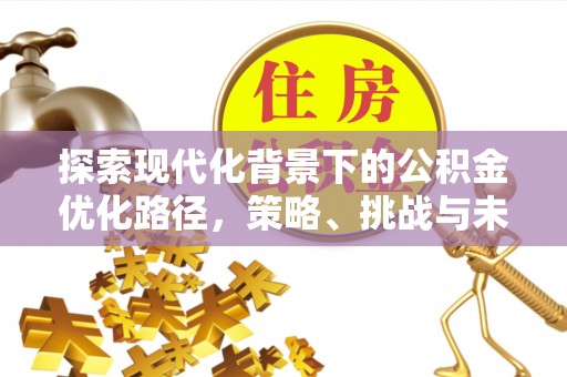 宕昌探索现代化背景下的公积金优化路径，策略、挑战与未来展望