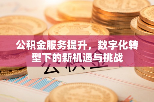宕昌公积金服务提升，数字化转型下的新机遇与挑战