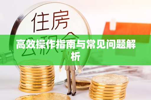 宕昌高效操作指南与常见问题解析