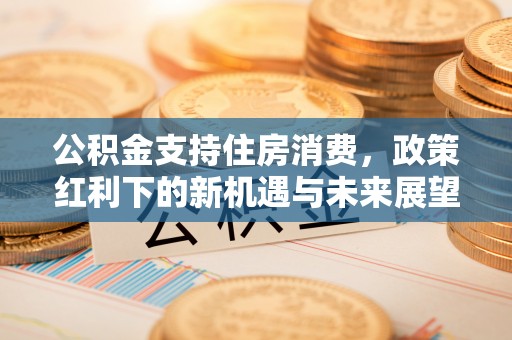 宕昌公积金支持住房消费，政策红利下的新机遇与未来展望