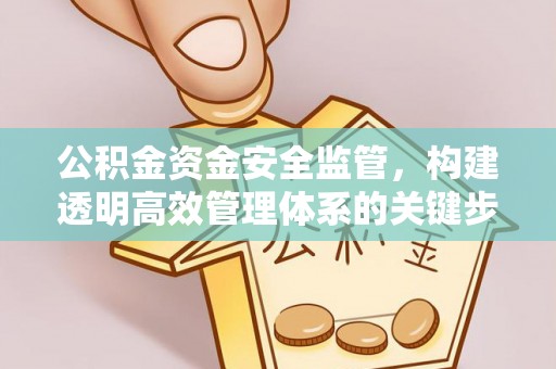 宕昌公积金资金安全监管，构建透明高效管理体系的关键步骤