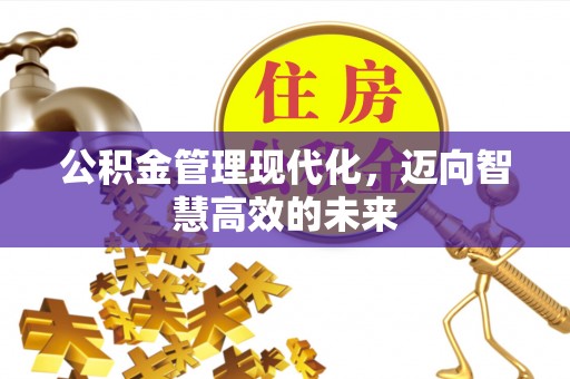 宕昌公积金管理现代化，迈向智慧高效的未来
