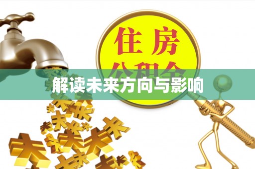 宕昌解读未来方向与影响