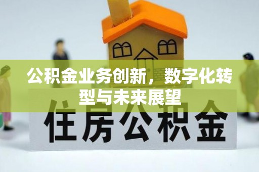宕昌公积金业务创新，数字化转型与未来展望