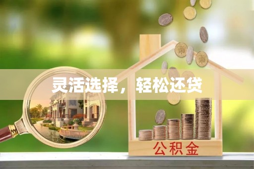 宕昌灵活选择，轻松还贷