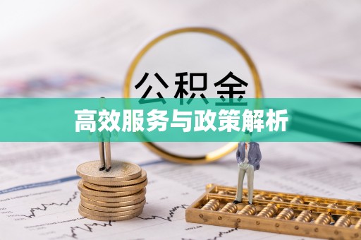 宕昌高效服务与政策解析