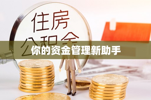 宕昌你的资金管理新助手