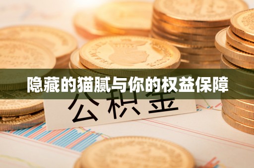 宕昌隐藏的猫腻与你的权益保障