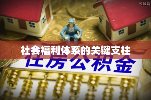 宕昌社会福利体系的关键支柱