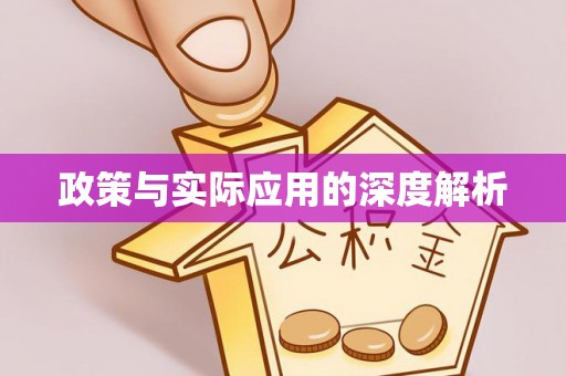 宕昌政策与实际应用的深度解析