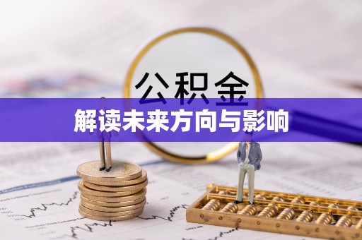宕昌解读未来方向与影响