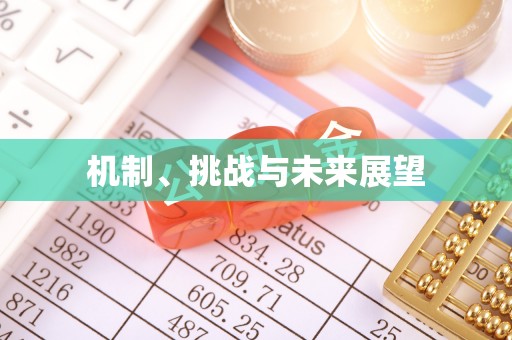 宕昌机制、挑战与未来展望