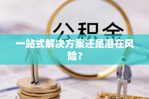 宕昌一站式解决方案还是潜在风险？