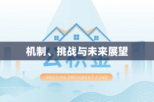 宕昌机制、挑战与未来展望